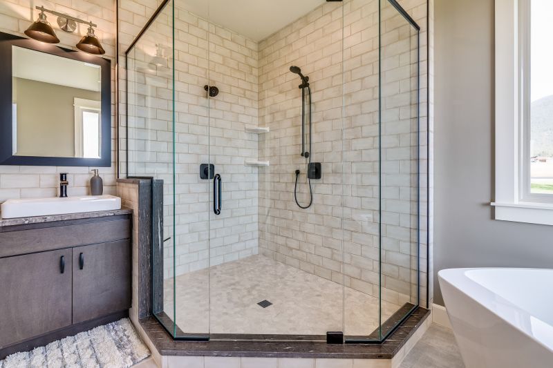 Minimalist Shower Door with Frameless Glass